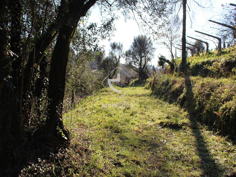 Plot para Sale en Bárrio E Cepões, Ponte De Lima 16