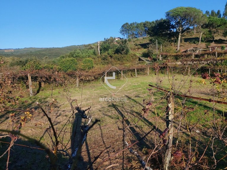 Plot para Sale en Cabração E Moreira Do Lima, Ponte De Lima 6