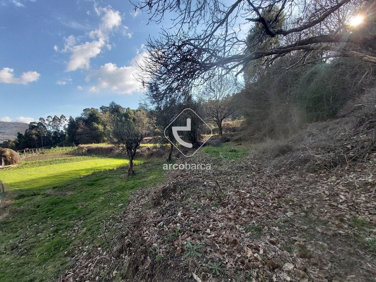 Plot para Sale en Labruja, Ponte De Lima 19