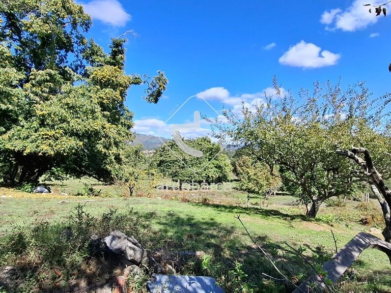 Country House para Sale en Calvelo, Ponte De Lima 19