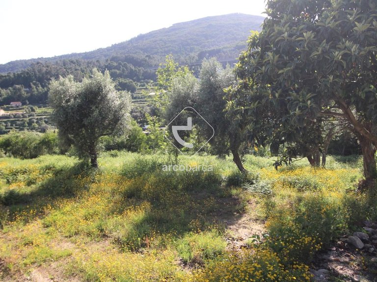 Villa para Sale en Labruja, Ponte De Lima 51