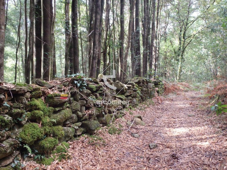 Villa para Sale en Labruja, Ponte De Lima 94