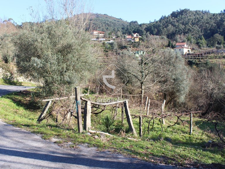 Plot para Sale en Bárrio E Cepões, Ponte De Lima 31