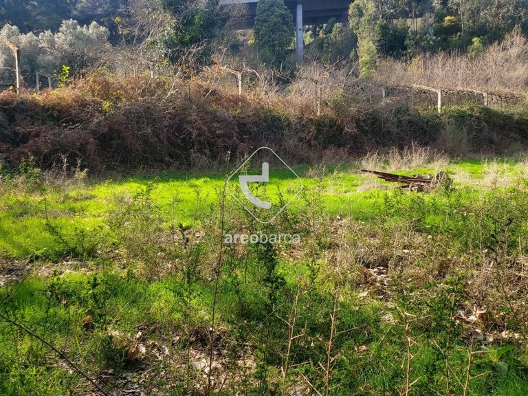 Plot para Sale en Labruja, Ponte De Lima 3