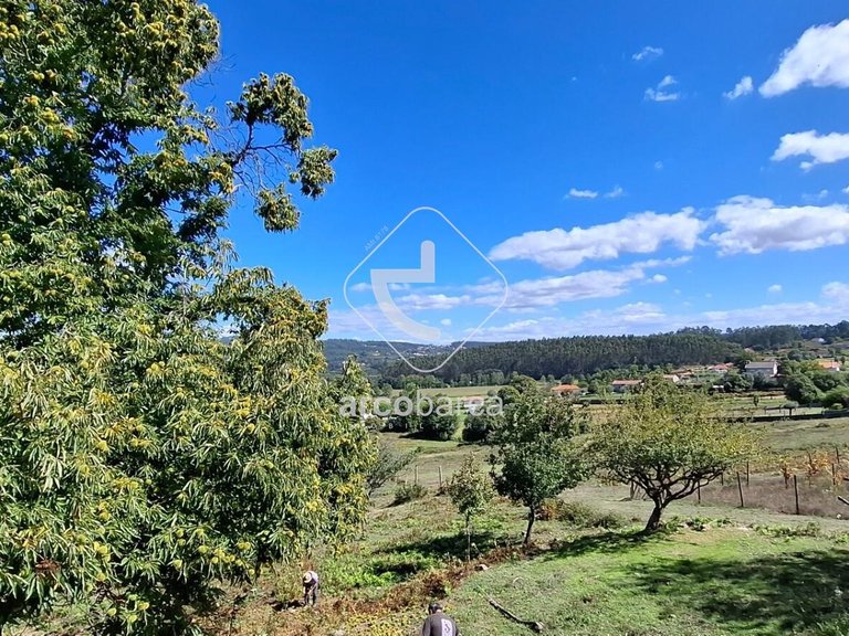 Country House para Sale en Calvelo, Ponte De Lima 32
