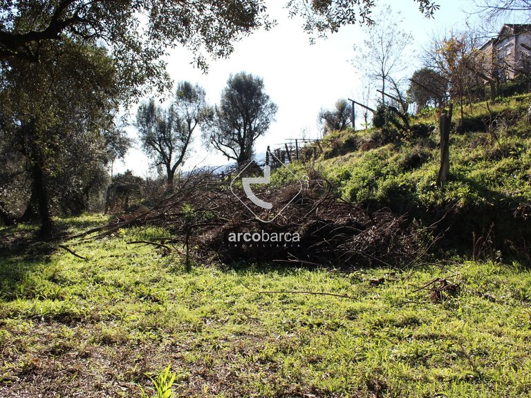 Plot para Sale en Bárrio E Cepões, Ponte De Lima 8