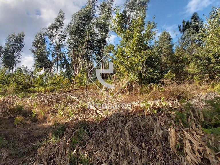 Plot para Sale en Refóios Do Lima, Ponte De Lima 5