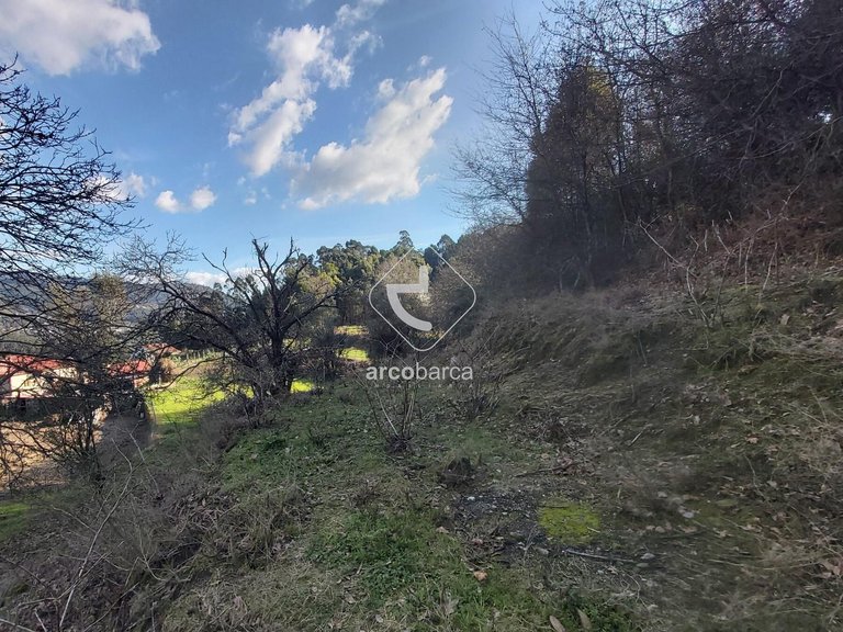 Plot para Sale en Labruja, Ponte De Lima 16