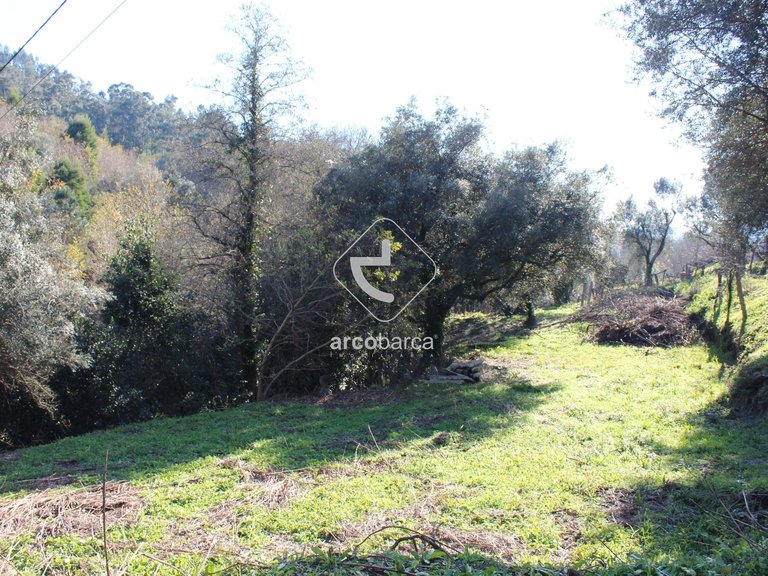 Plot para Sale en Bárrio E Cepões, Ponte De Lima 18