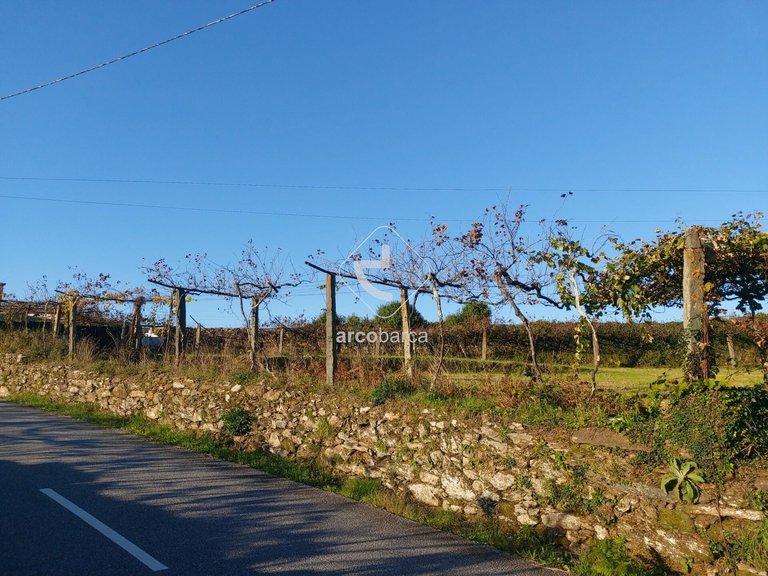 Plot para Sale en Cabração E Moreira Do Lima, Ponte De Lima 15
