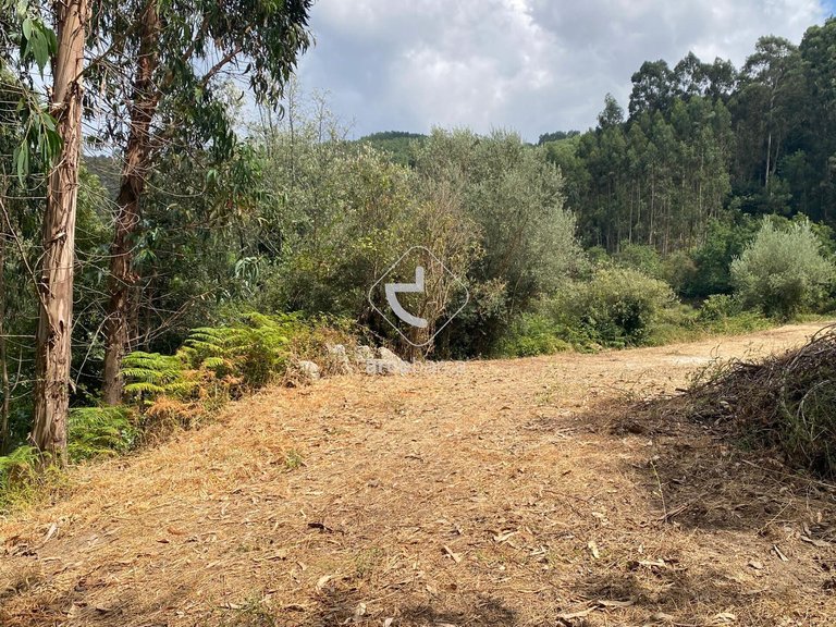 Villa para Sale en Rio Frio, Arcos De Valdevez 17