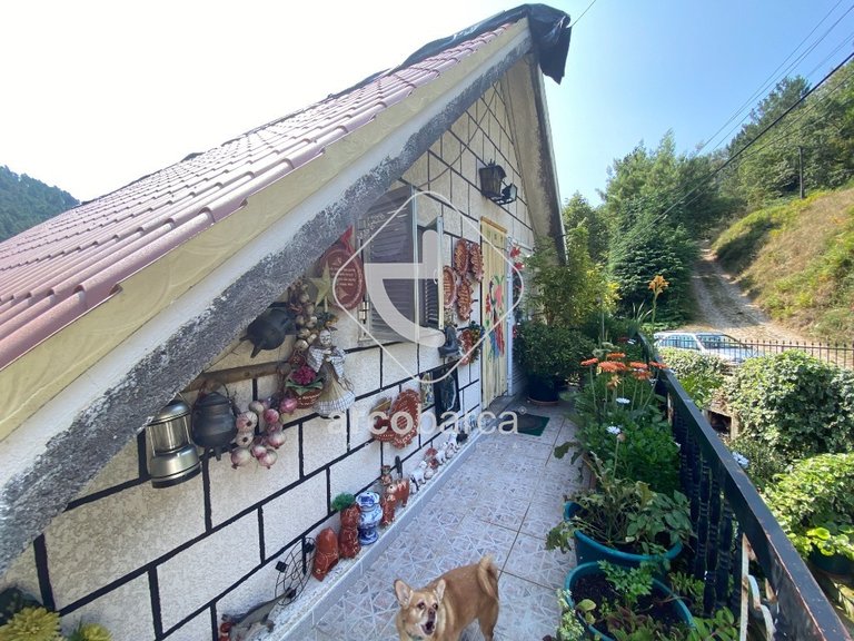 Villa para Sale en Gavieira, Arcos De Valdevez 4
