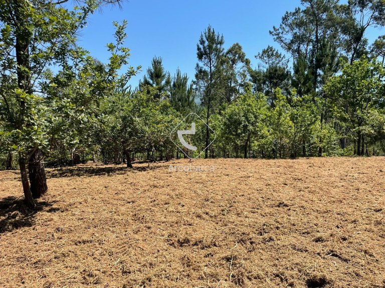 Plot para Sale en Aguiã, Arcos De Valdevez 6