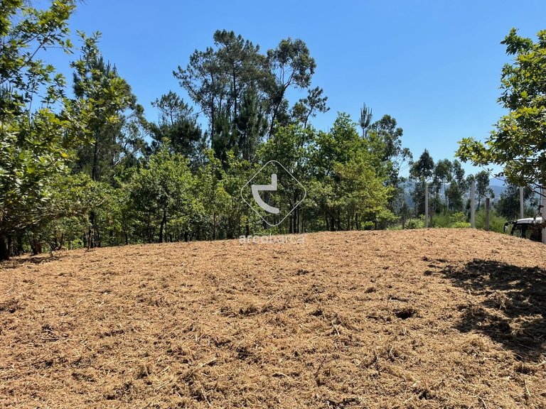 Plot para Sale en Aguiã, Arcos De Valdevez 10