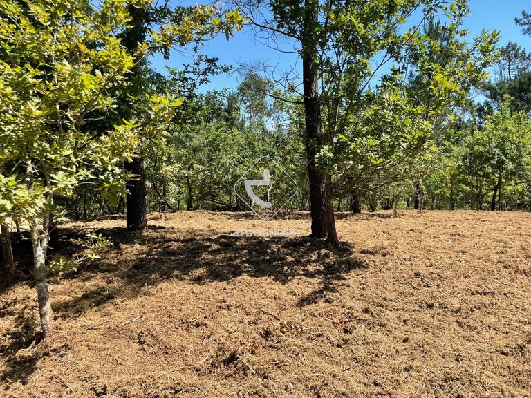 Plot para Sale en Aguiã, Arcos De Valdevez 9