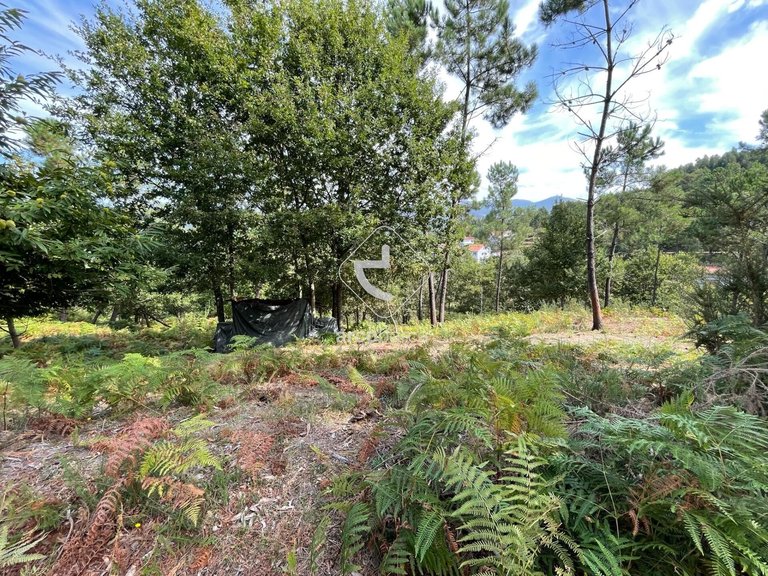 Plot para Sale en Ázere, Arcos De Valdevez 6