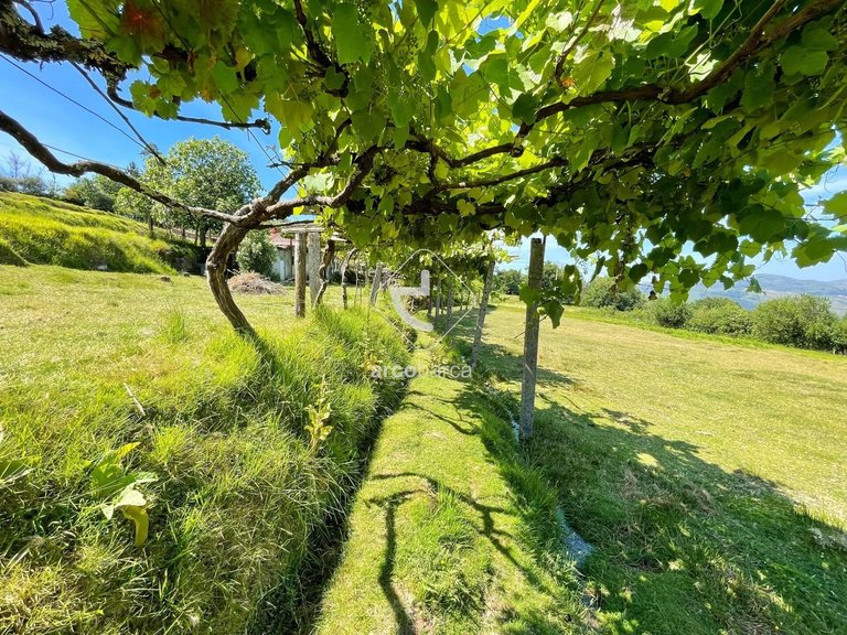 Country House para Sale en Sabadim, Arcos De Valdevez 20