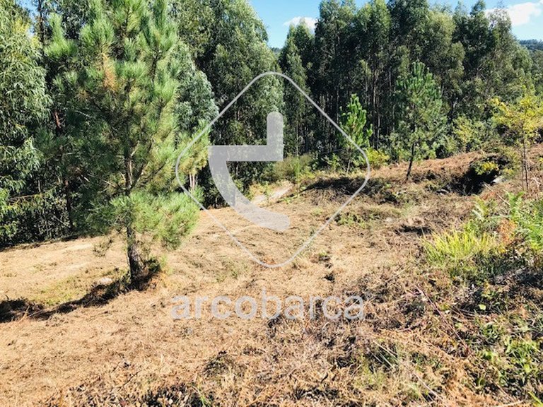 Plot para Sale en Infesta, Paredes De Coura 9