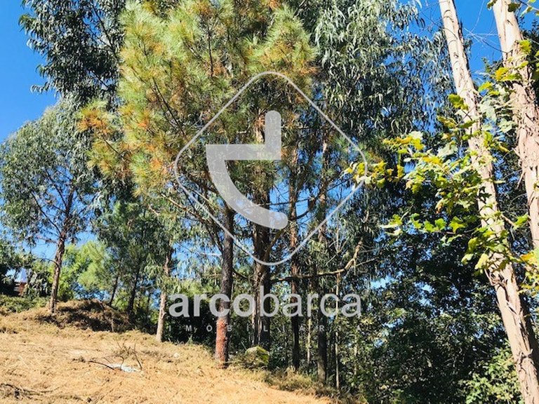 Plot para Sale en Infesta, Paredes De Coura 17
