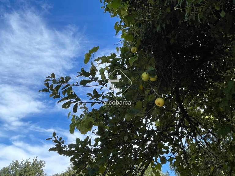 Plot para Sale en Romarigães, Paredes De Coura 9