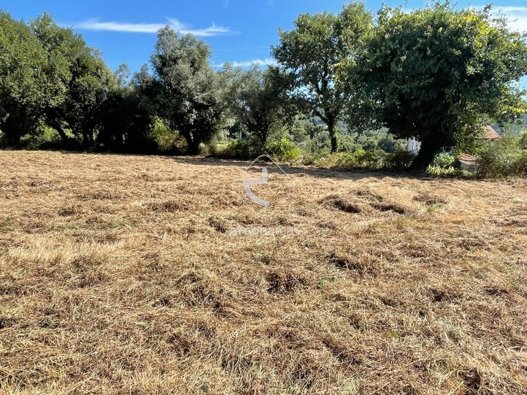 Plot para Sale en Romarigães, Paredes De Coura 12