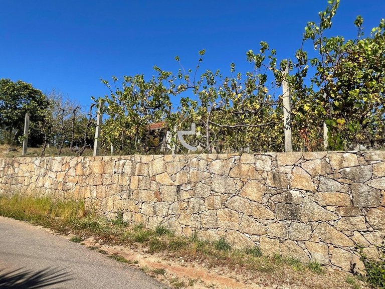 Plot para Sale en Arcozelo, Ponte De Lima 38