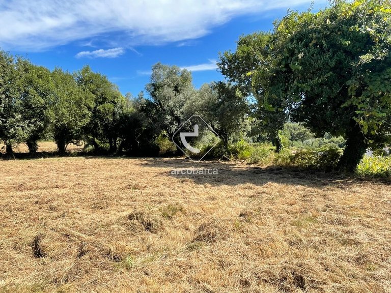 Plot para Sale en Romarigães, Paredes De Coura 6