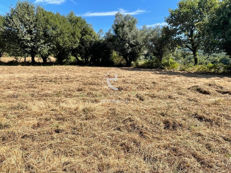 Plot para Sale en Romarigães, Paredes De Coura 13