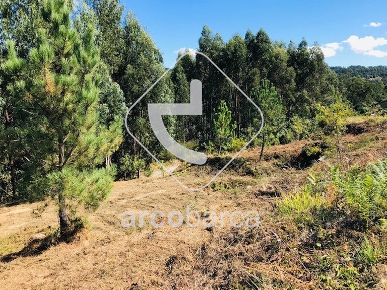 Plot para Sale en Infesta, Paredes De Coura 3