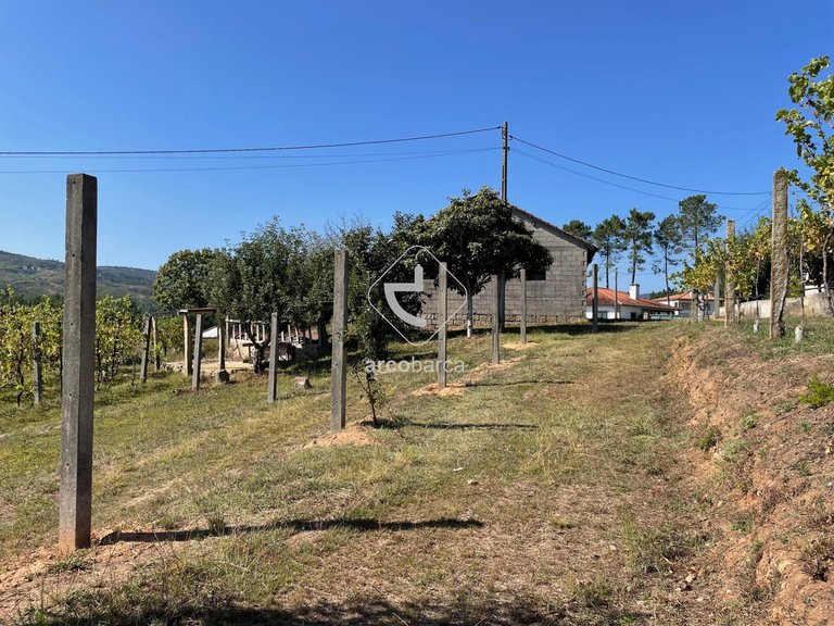 Plot para Sale en Arcozelo, Ponte De Lima 26