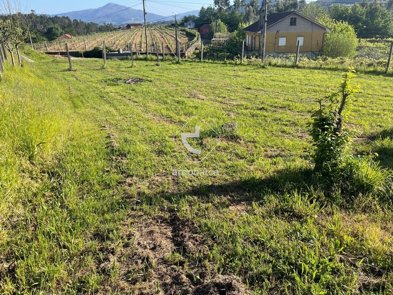Plot para Sale en Arcozelo, Ponte De Lima 12