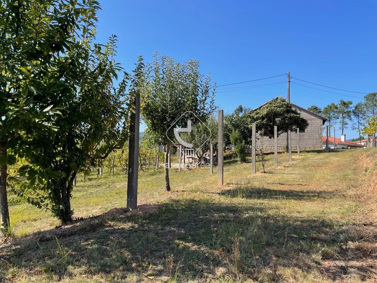 Plot para Sale en Arcozelo, Ponte De Lima 27