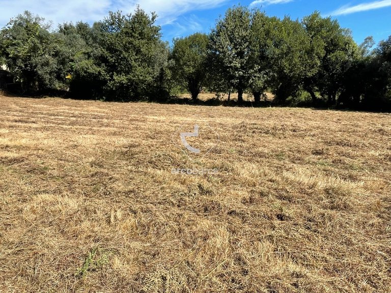 Plot para Sale en Romarigães, Paredes De Coura 18