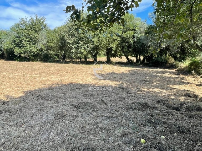 Plot para Sale en Romarigães, Paredes De Coura 8
