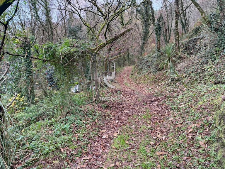 Plot para Sale en Jolda (madalena) E Rio Cabrão, Arcos De Valdevez 12