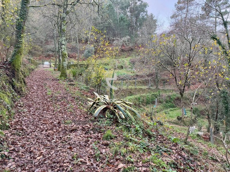 Plot para Sale en Jolda (madalena) E Rio Cabrão, Arcos De Valdevez 19