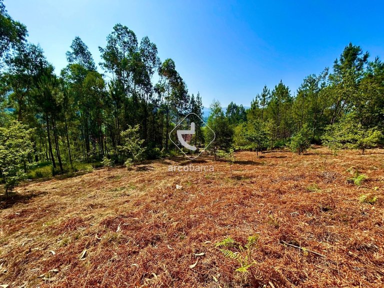 Plot para Sale en Vale, Arcos De Valdevez 5