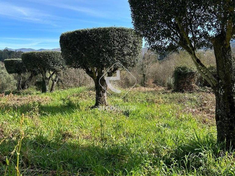 Plot para Sale en São Jorge E Ermelo, Arcos De Valdevez 10