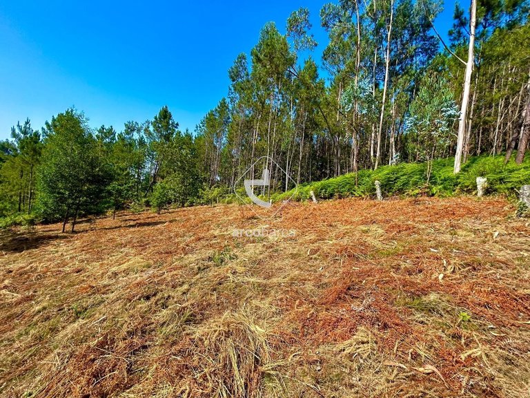 Plot para Sale en Vale, Arcos De Valdevez 3