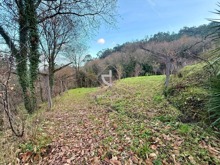 Plot para Sale en Jolda (madalena) E Rio Cabrão, Arcos De Valdevez 2
