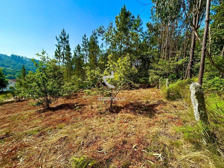 Plot para Sale en Vale, Arcos De Valdevez 8