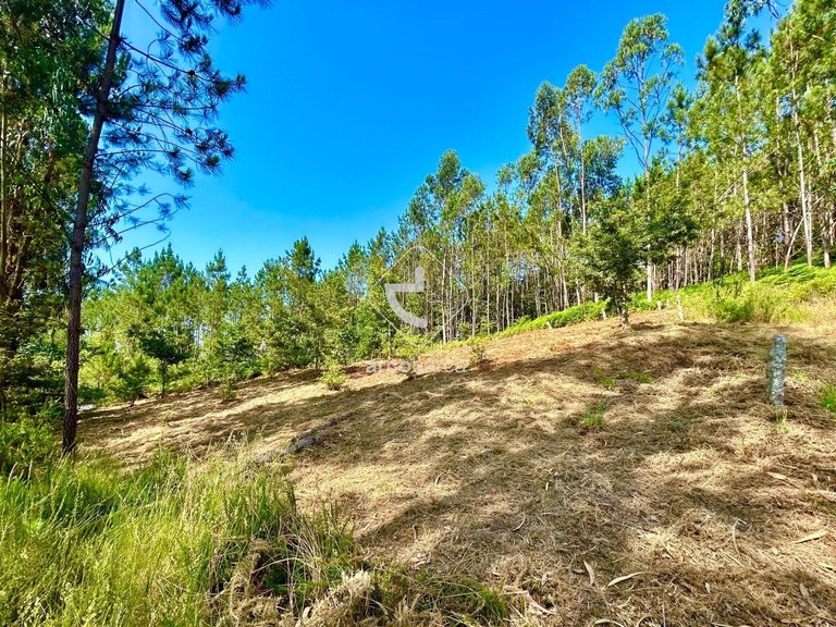 Plot para Sale en Vale, Arcos De Valdevez 12