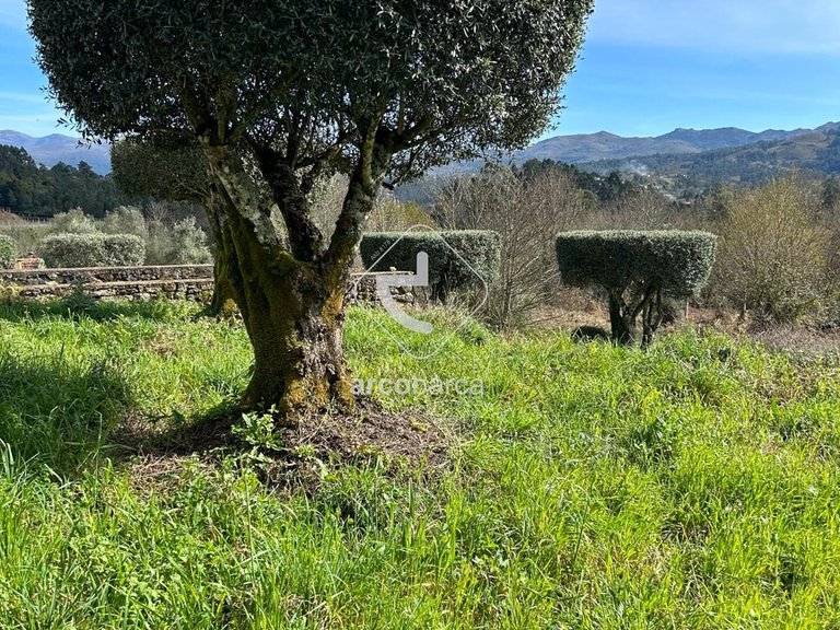 Plot para Sale en São Jorge E Ermelo, Arcos De Valdevez 12