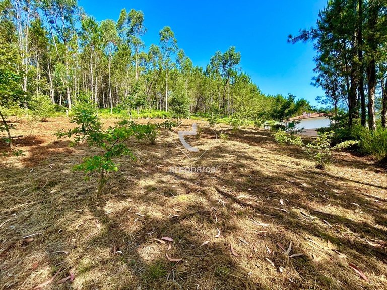 Plot para Sale en Vale, Arcos De Valdevez 10