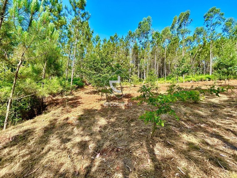 Plot para Sale en Vale, Arcos De Valdevez 11