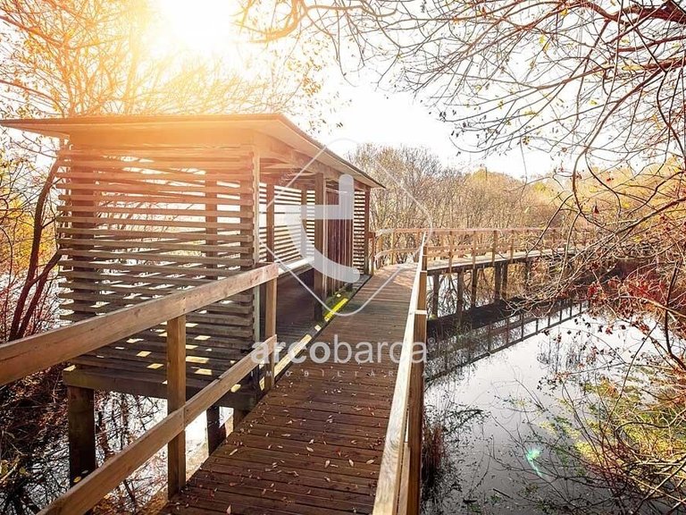 Plot para Sale en Fontão, Ponte De Lima 8