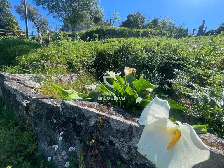Villa para Sale en Vale, Arcos De Valdevez 22