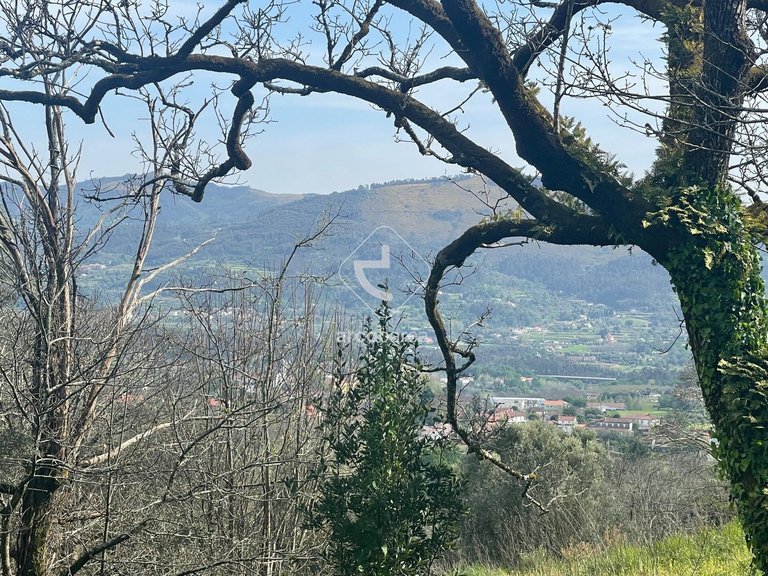 Plot para Sale en Refóios Do Lima, Ponte De Lima 6