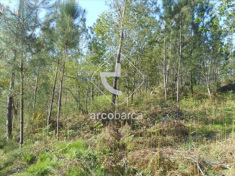 Plot para Sale en Rubiães, Paredes De Coura 10