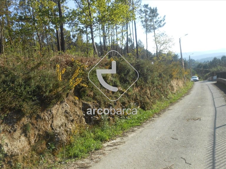 Plot para Sale en Rubiães, Paredes De Coura 5